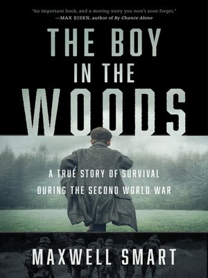 cover image of The Boy in the Woods